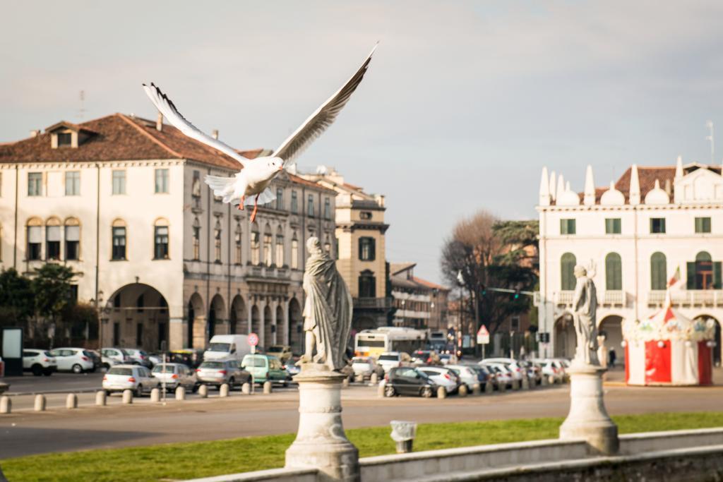 Myplace Prato Della Valle Apartments Padova Eksteriør bilde